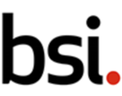 英國標(biāo)準(zhǔn)協(xié)會(huì) (BSI)